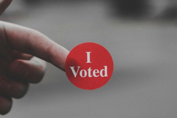 I voted